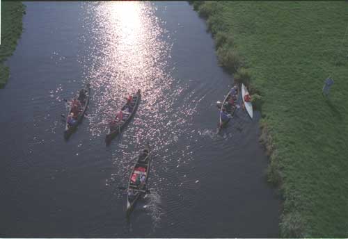 Bild der Wilhelmine auf der Elbe