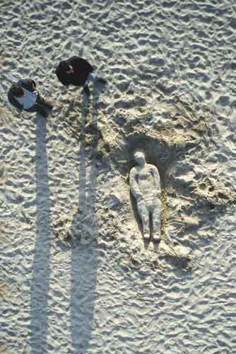 Bild der Wilhelmine auf der Elbe