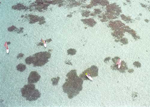 Bild der Wilhelmine auf der Elbe