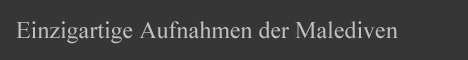 Banner für Werbung